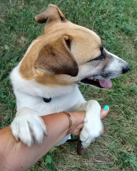 Bam VA, von der Kette ins Glück?