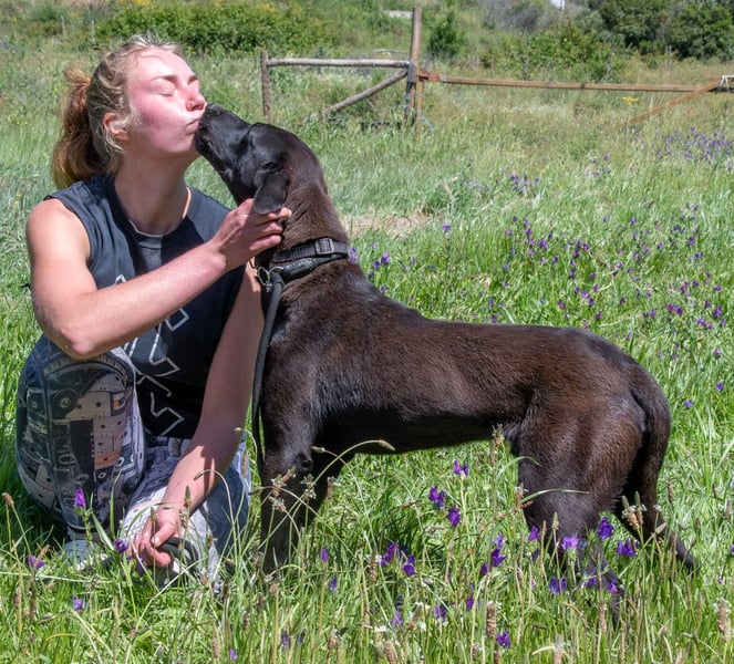 Jack - ein aktiver Junge