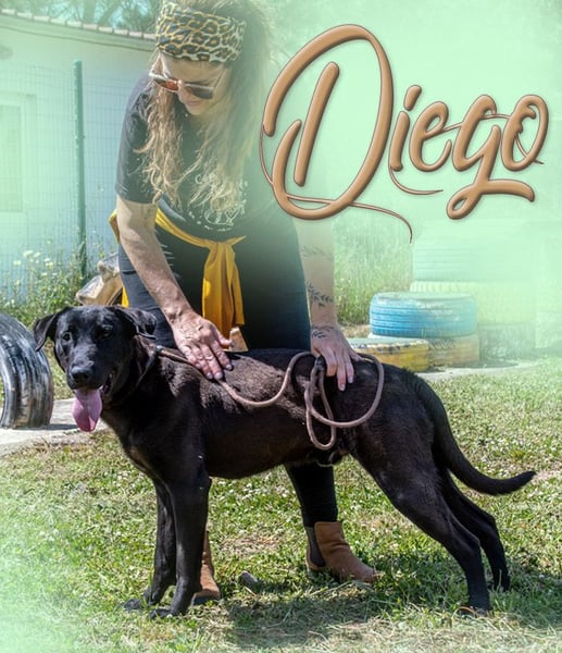 Diego - jung und verspielt