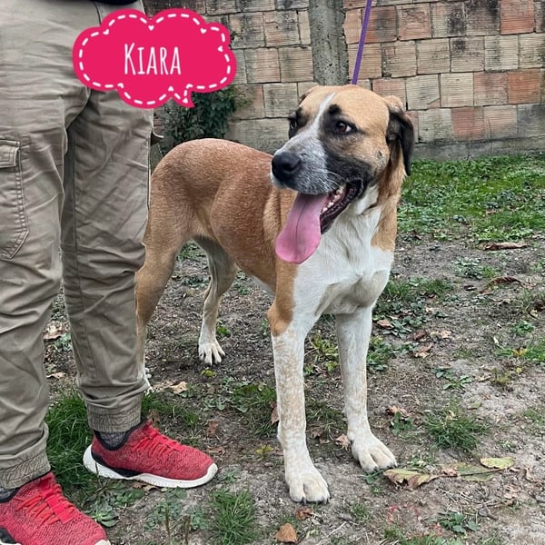 Kiara eine wundervolle