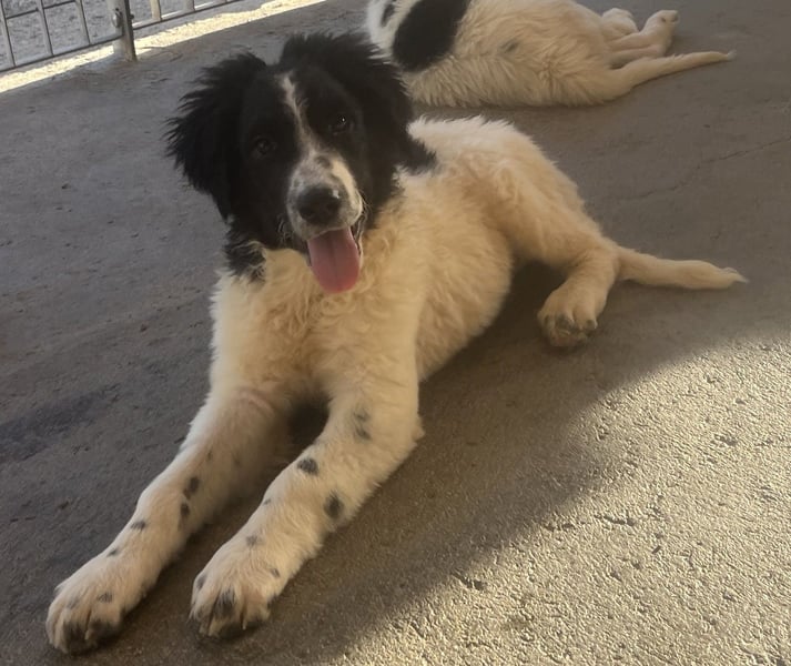 Caramela: sie liebt das Leben