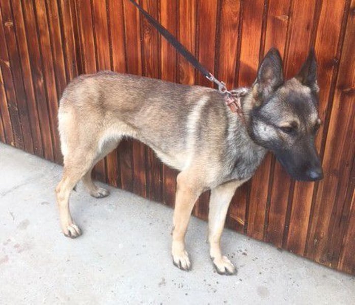 Gabe, muss unverschuldet ihr Zuhause verlassen