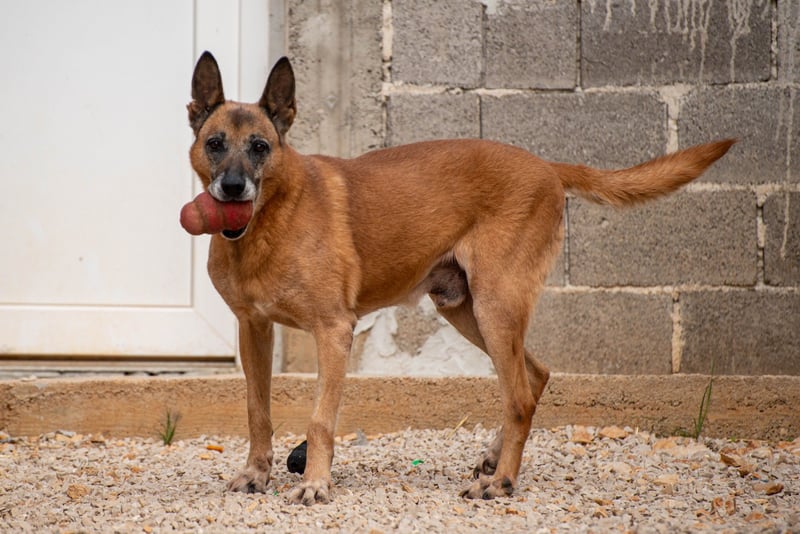 Senior Baks möchte endlich Ankommen