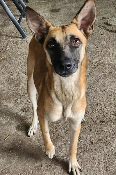 TALVI - gefunden auf der Straße