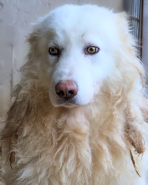 Fredrik - Was nach der Trennung kommt