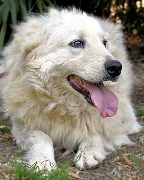 Archimede - sucht freundliche Aufnahme