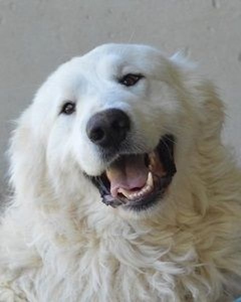 Leverett - Ich sehe was, was du (noch) nicht siehst!