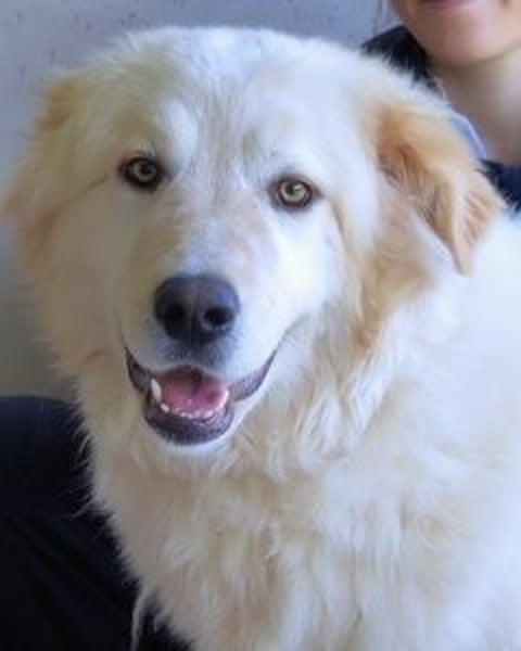 Skilah - Wenn Niemand zu Jemand wird