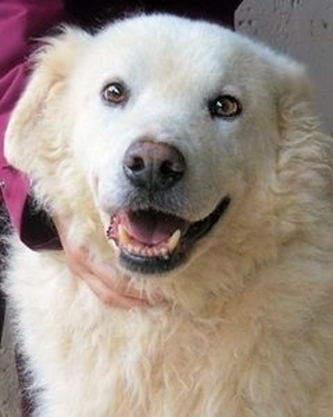 Albertone - Alles, alles Gute!!!