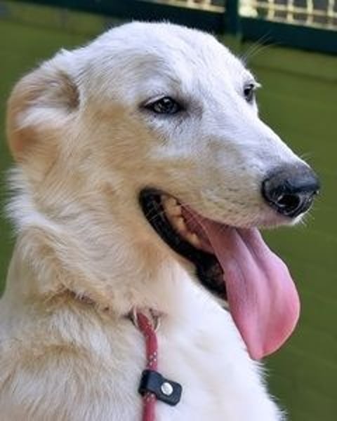 Isana - Wo ist mein neues Leben?