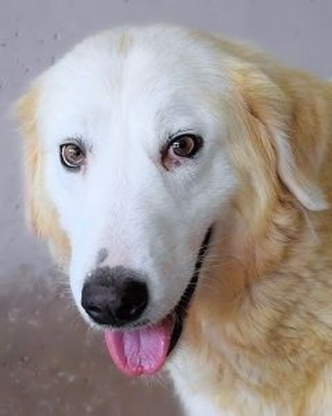 Benilda - Familiemutter in Not