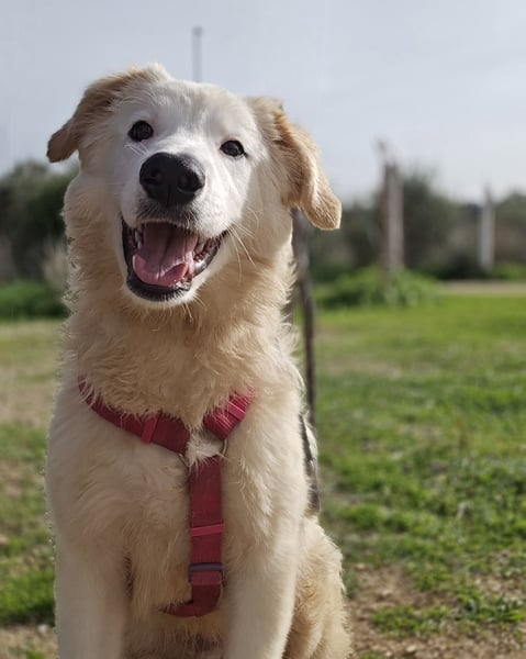 Tom: verliebt in alle Menschen