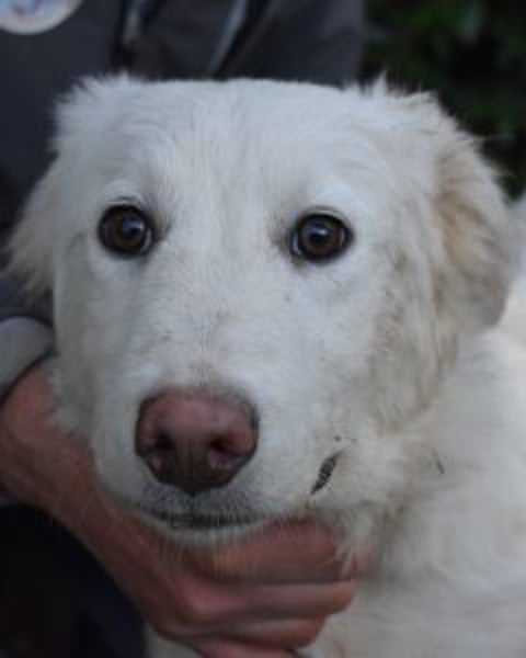 Sterling - So jung und so chancenlos ...