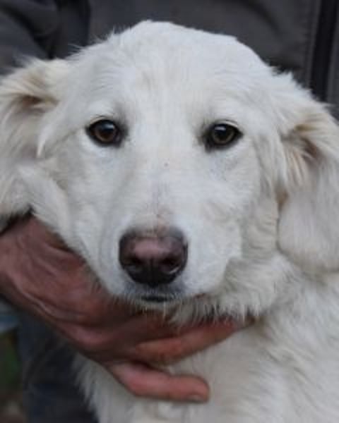 Solitelle - So jung und so chancenlos ...