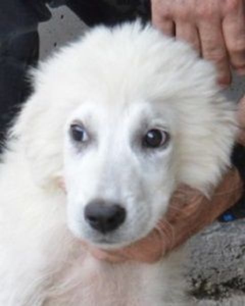 Garth - Kannst du machen, dass es nicht so lange dauert?