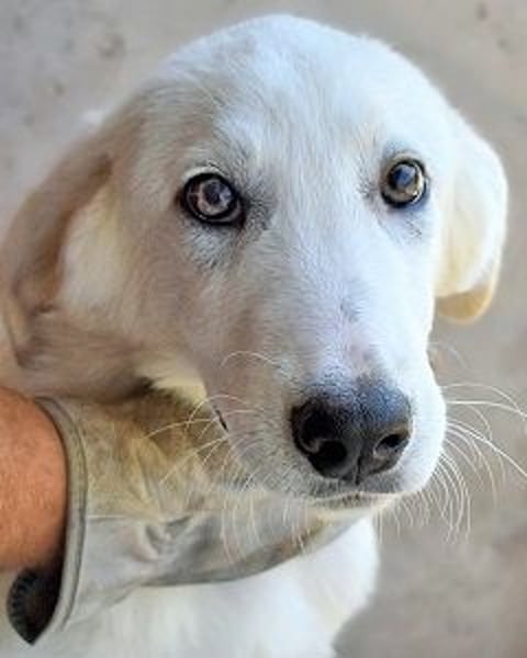 Barry - Vertrauen will gelernt sein.....