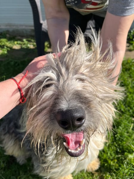 Ari - voller Lebensfreude