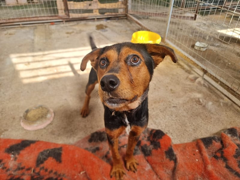 Cora ist bereit für ihr neues Leben