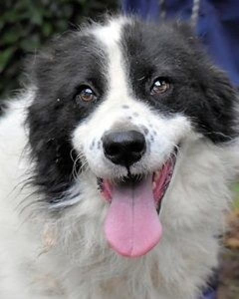 Rezart - Zusammen ist man weniger alleine