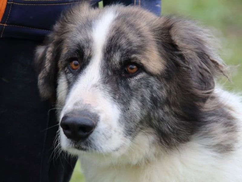 Poncio - wird zum Musterschüler