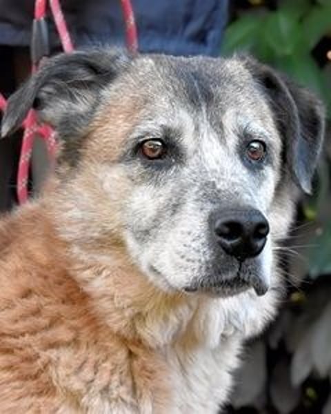 Matha - ...das war vor 5 Jahren... seitdem warte ich hier