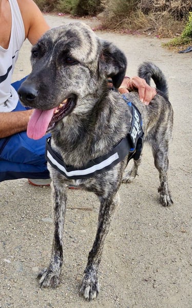 Ayana - freundlich, offen und für Familien geeignet