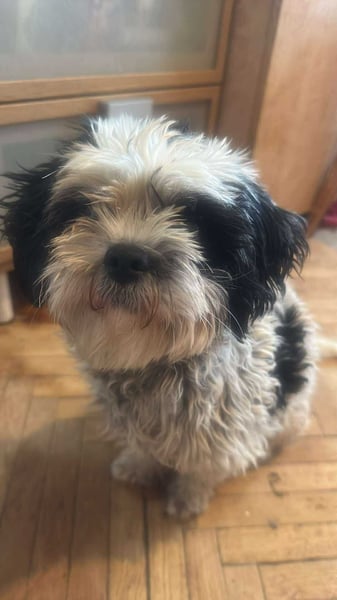 Sunshine, mit mir kommt Sonne ins Haus