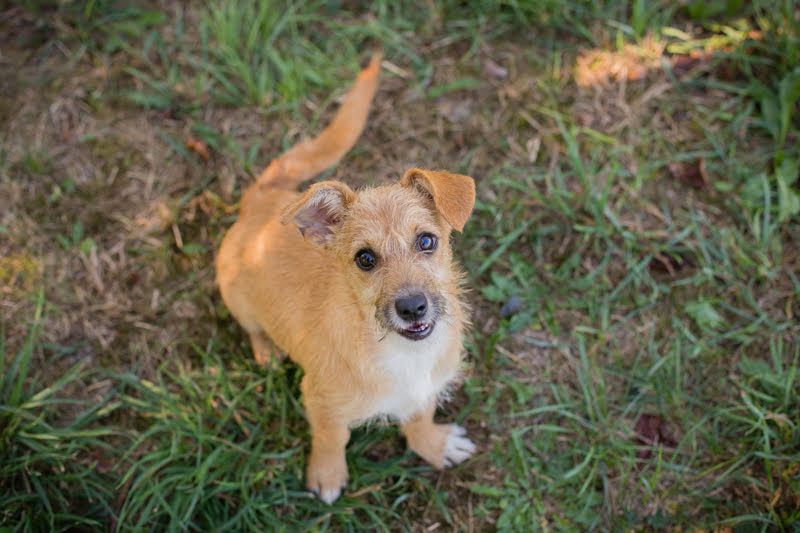 EMMA - Kleine Wirbelwind-Prinzessin sucht ihr Traumzuhause