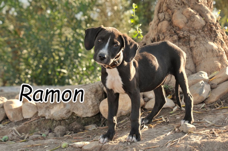 Zeigen Sie Ramon wie schön das Leben sein kann?