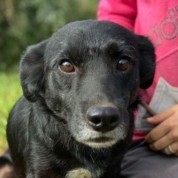 BLACKY soll es endlich schön haben