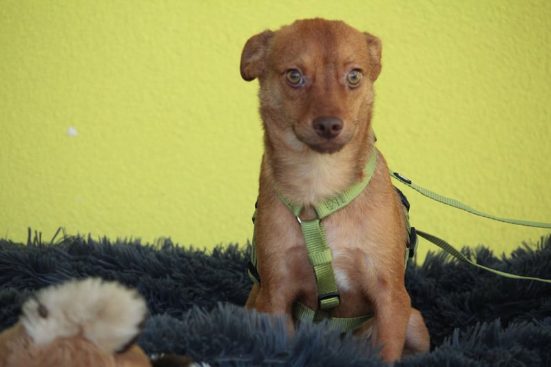 Hallo zusammen! Ich bin Amaro!