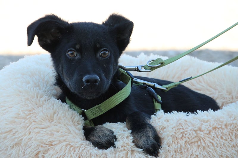 Candino unser Sonnenschein...