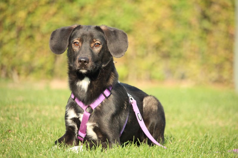 Hallo zusammen! Ich bin Quila!