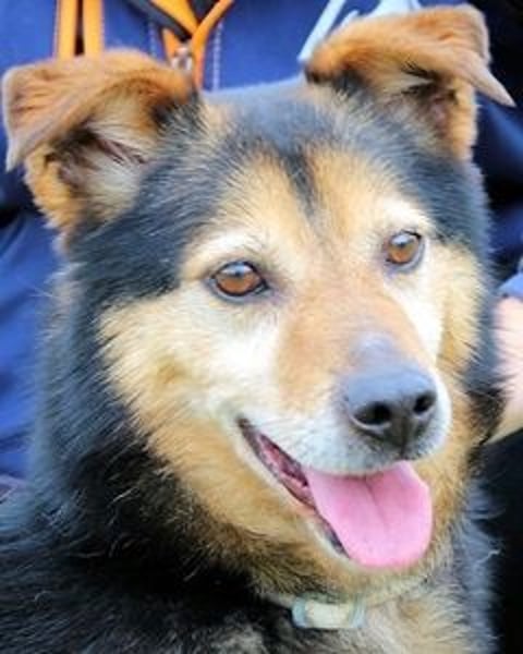 Macky - SOS - und sein Weg zurück ins Leben