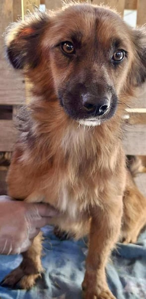 Felix sucht dringend seine Menschen