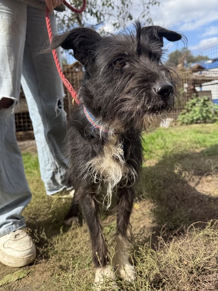 Lidi ist unser Sonnenschein!!1