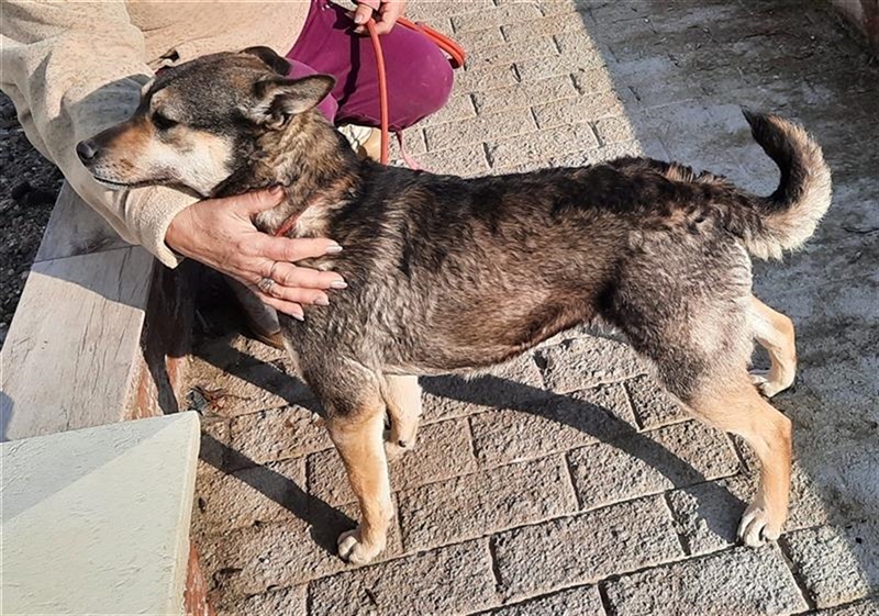 Super anhängliche Natascha möchte Rumänien ganz schnell verlassen