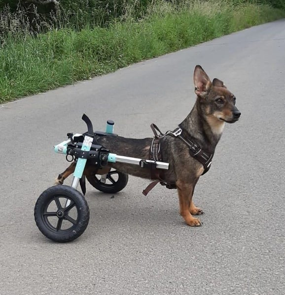 Fröhliche, liebe Kara