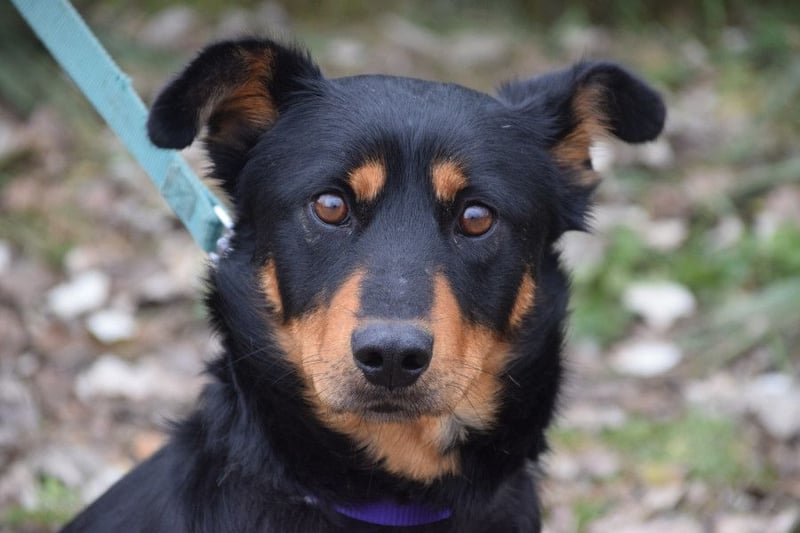 Lana - zeigt Lebensfreude und ist einfach nur total lieb