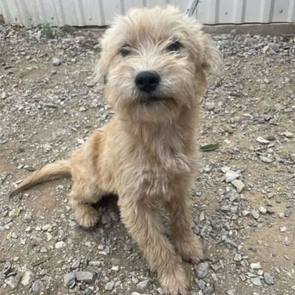 CASTO SUCHT SICHERHEIT