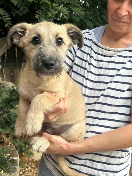 Bumi, geboren 22.07.2025, 30cm sucht liebevolles Zuhause