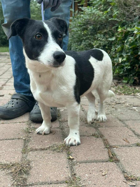 Alma, geboren 26.08.2023, 29cm sucht ihr Glück