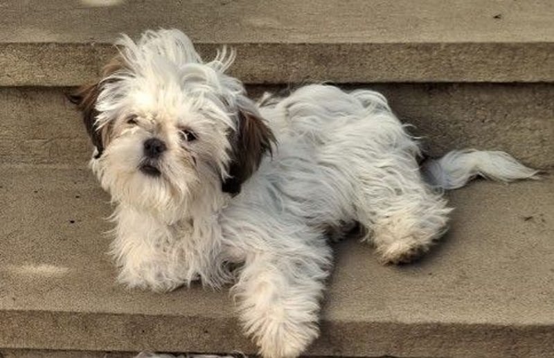 Freundliche, zauberhafte und liebe Lotti