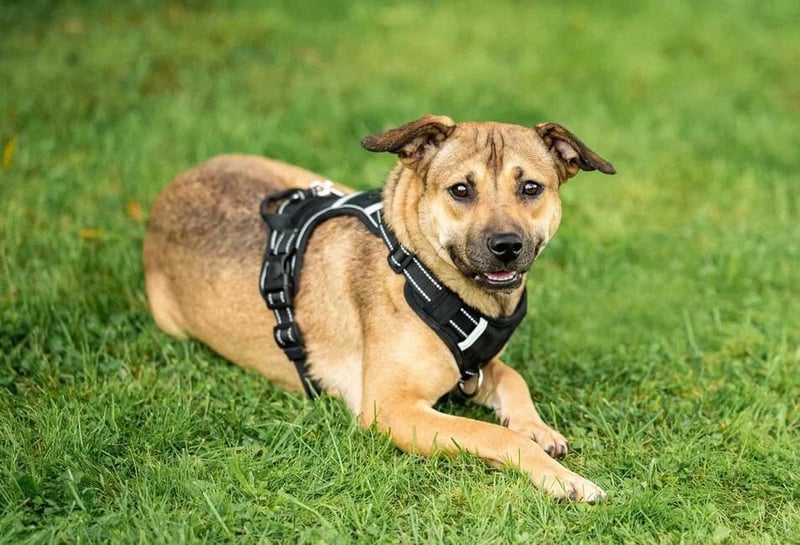 Mona❤️ kleines Sonnenschein-Mädchen sucht großes Glück