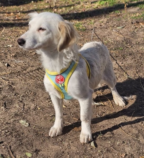 Neve begegnet jedem freundlich