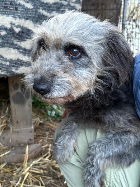 Ana sucht Ihre Familie!