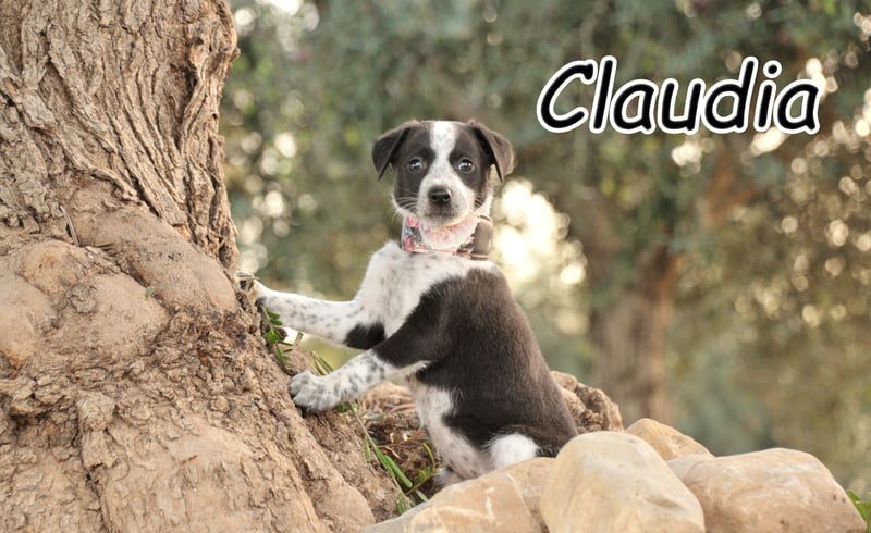 Darf Claudia an deiner Seite die Welt entdecken?