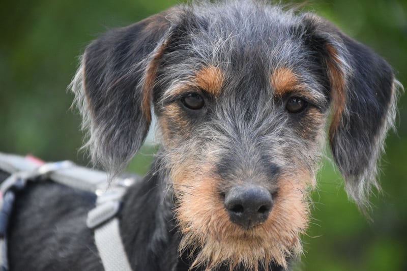 Debby - mag alles und jeden und möchte die Welt umarmen