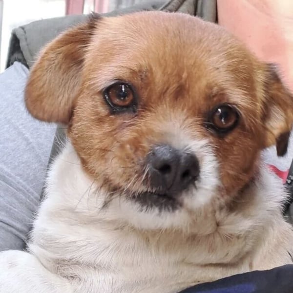 KIKE IST BEREIT FÜR LIEBE