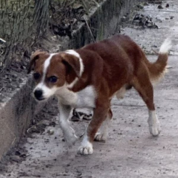 FLODI LIEB UND FREUNDLICH